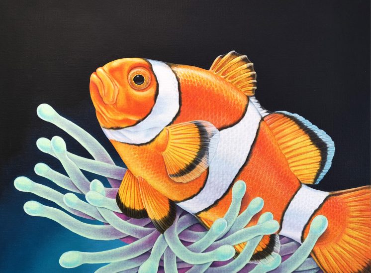 Painting of a Clownfish