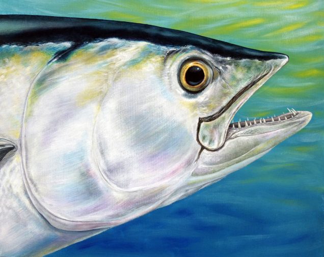 Original Painting of a dogtooth tuna