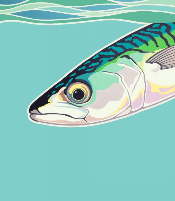 Painting of a Mackerel fish