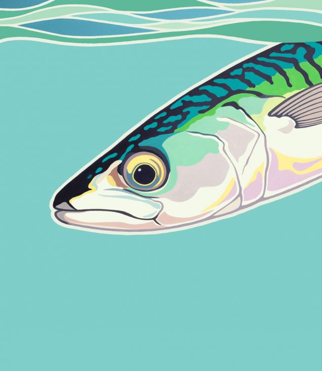 Painting of a Mackerel fish