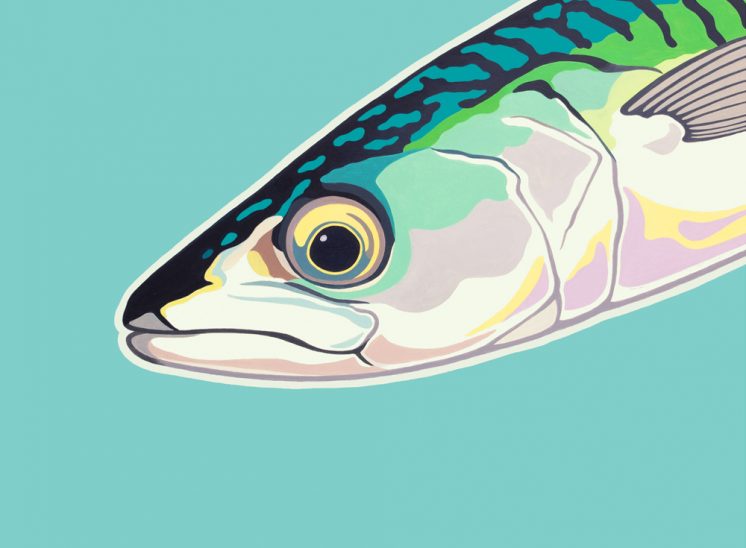 Painting of a Mackerel fish