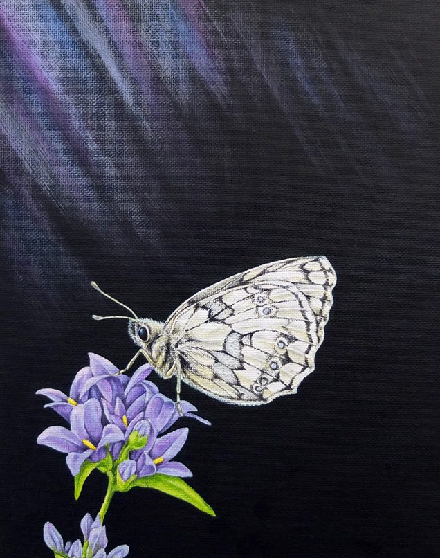 Original painting of a Marbled White Butterfly