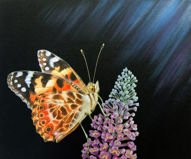 Original painting of a Painted Lady Butterfly