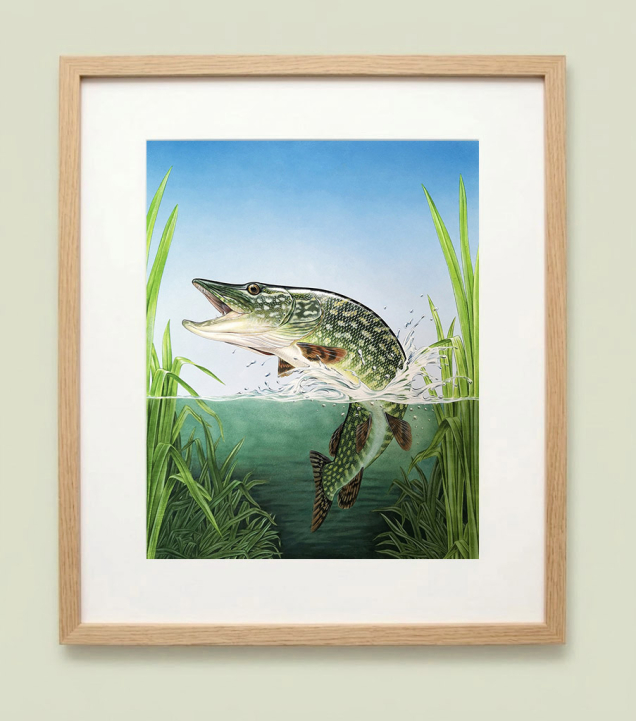 Pike painting in an oak frame