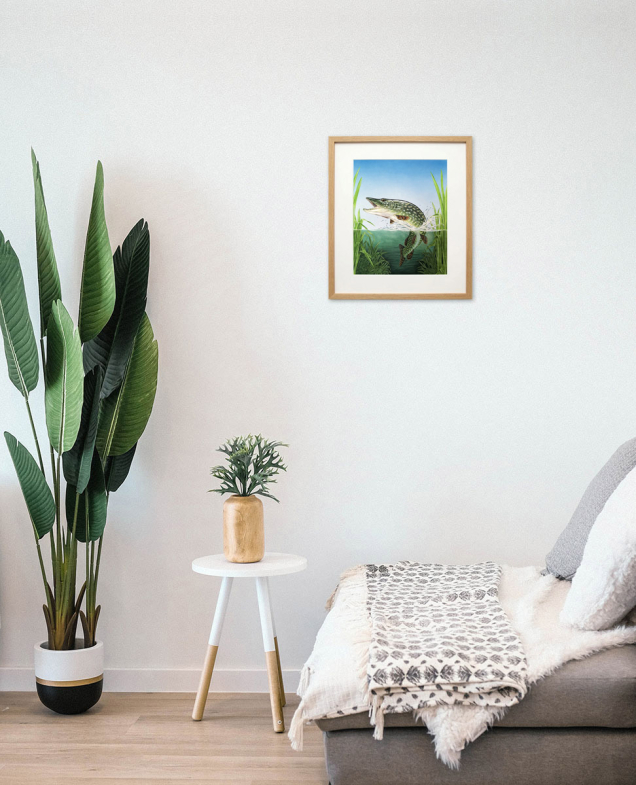 Framed painting of a pike hanging on a wall