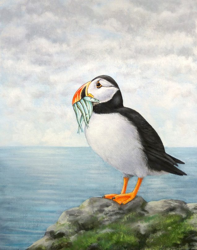 Original painting of a puffin