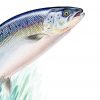 Detail of a salmon painting