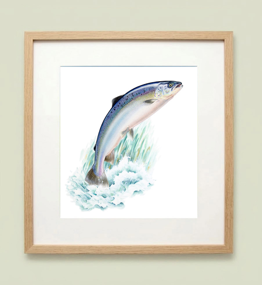 Framed painting of a leaping salmon