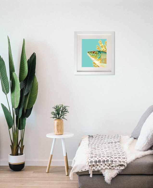 Picture of a Wrasse hanging in a room