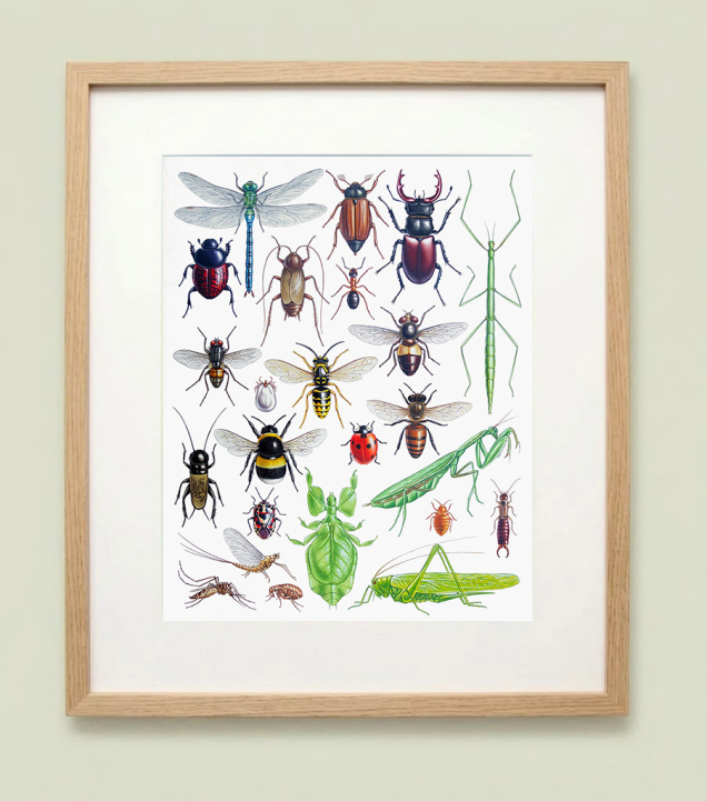 Framed painting of insects