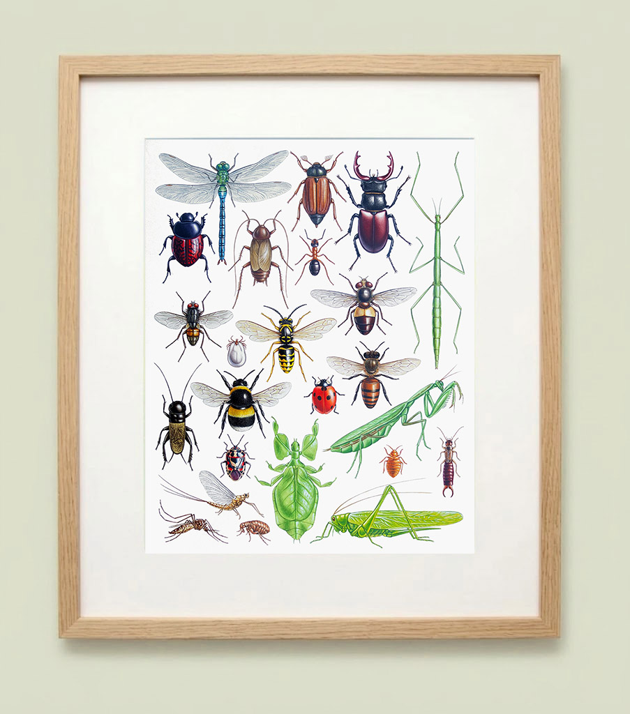 Framed painting of insects