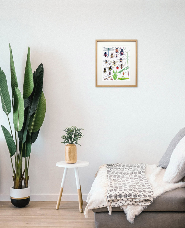 Framed painting of insects on a wall