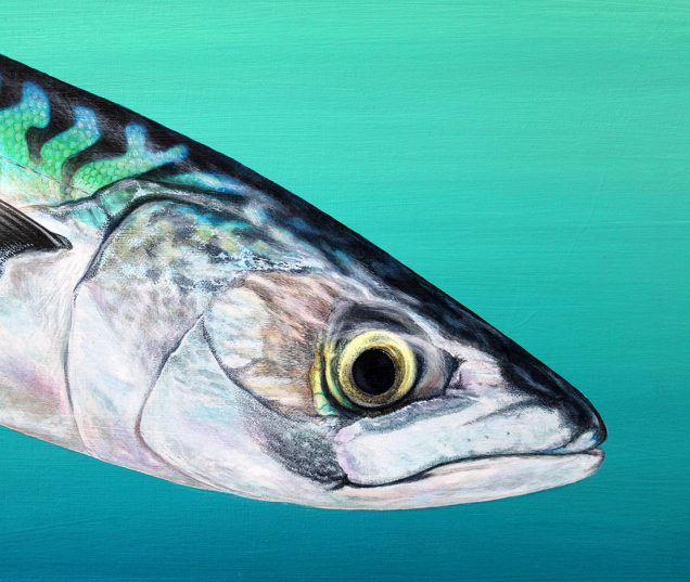 Detail of Mackerel head painting