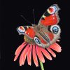 Original painting of a peackock butterfly
