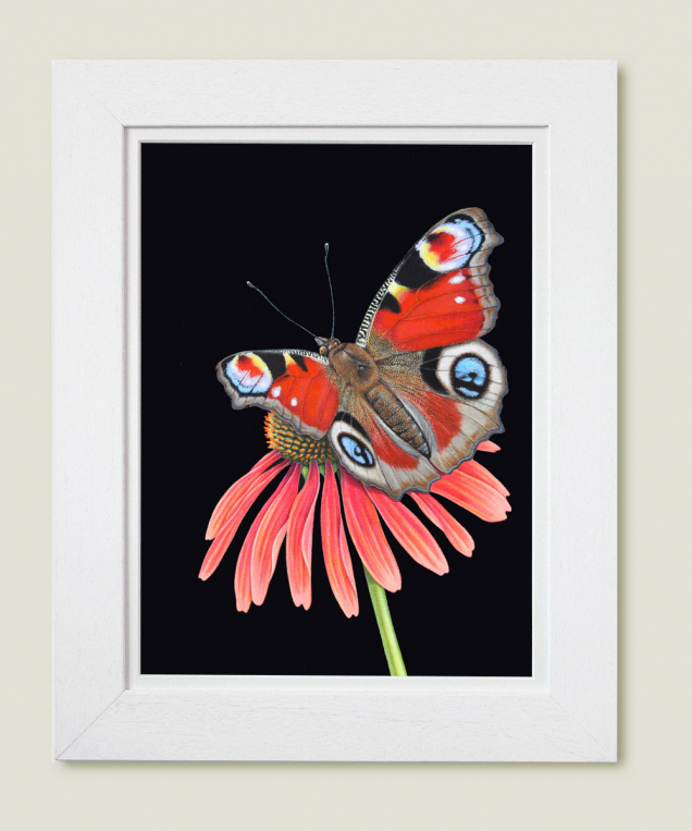 Framed painting of a peacock butterfly