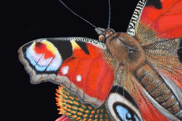 Close up detail of peacock painting