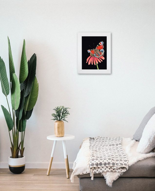 Butterfly painting hanging on the wall