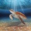 Acrylic painting of a Sea Turtle