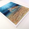 Framed painting of a turtle