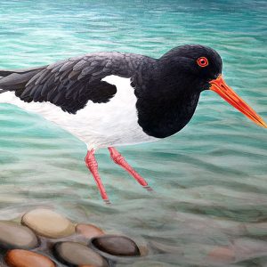 Bird Paintings
