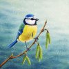 Blue tit painting