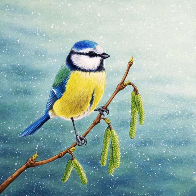 Blue tit painting