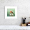 Print of a robin in a white picture frame and mount