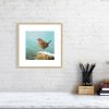 Print of a wren in an oak picture frame and white mount