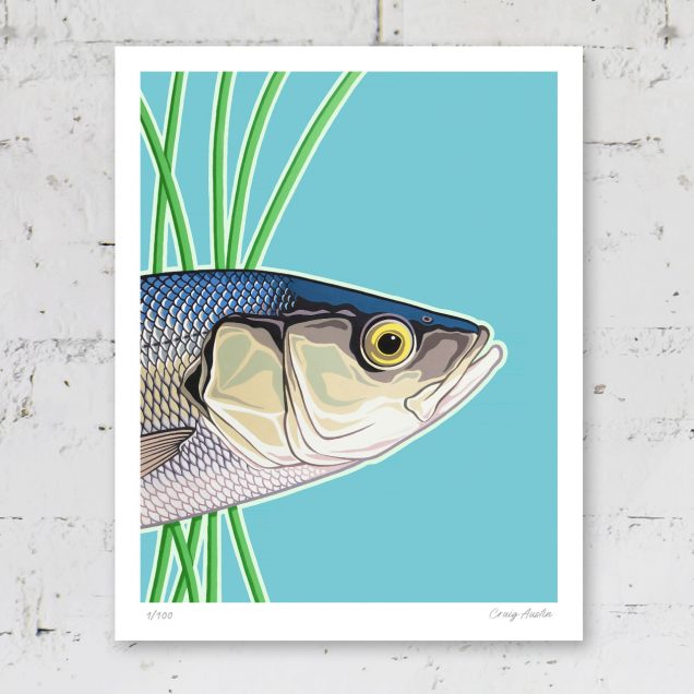 Sea bass fish poster