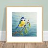 Framed print of a blue tit painting