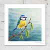 Signed limited edition of blue tit print