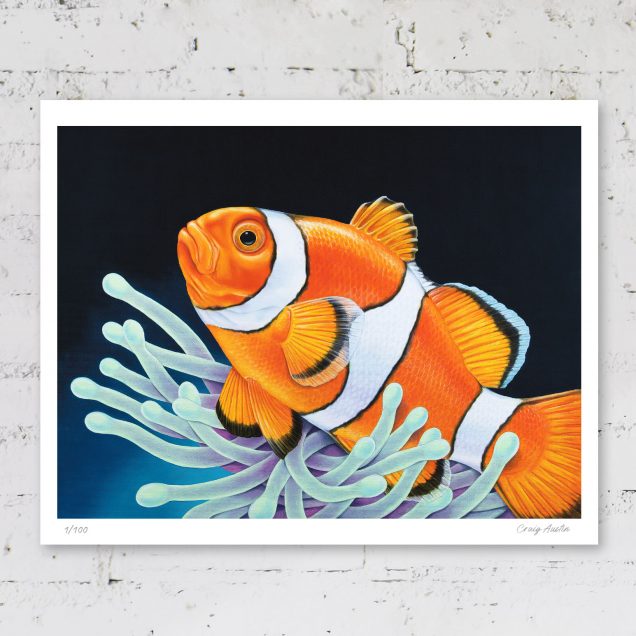 Clownfish and sea anemone print