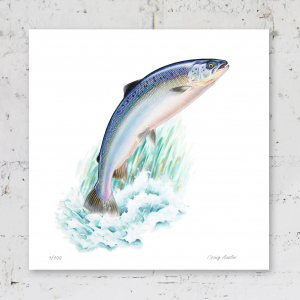 Limited edition print of an Atlantic Salmon