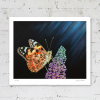 Signed print of a painted lady butterfly