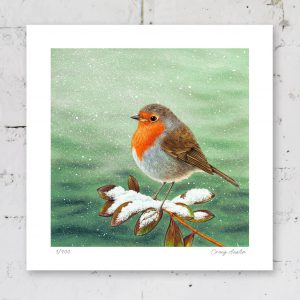 Signed limited edition of robin print