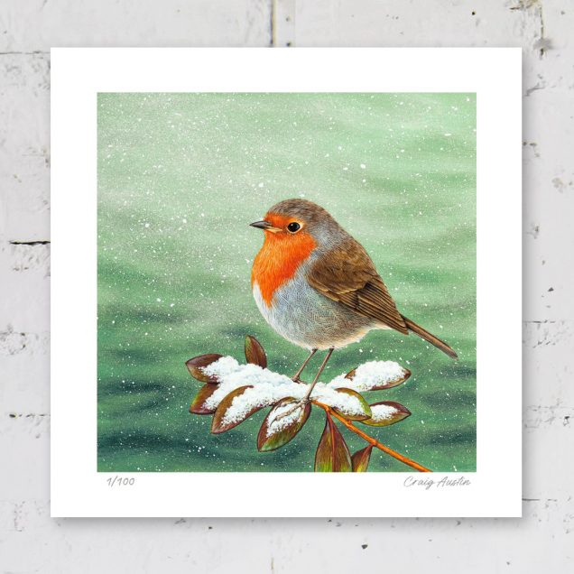 Signed limited edition of robin print