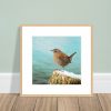 Oak framed print of a wren