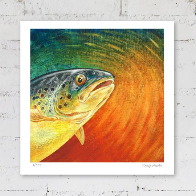 Signed print of a brown trout