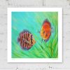 Signed print of discus fish