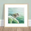 Framed print of a goldcrest painting