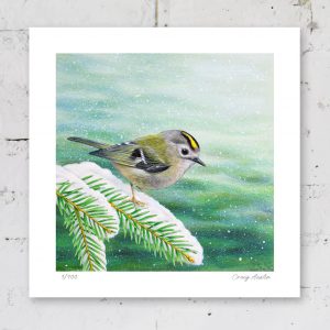 Signed print of a goldcrest