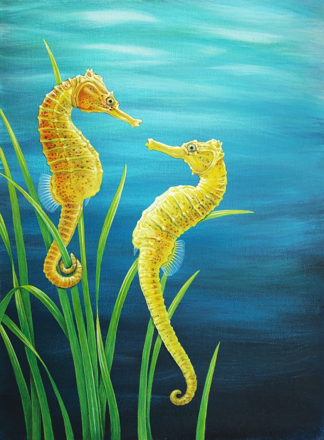 Seahorses print