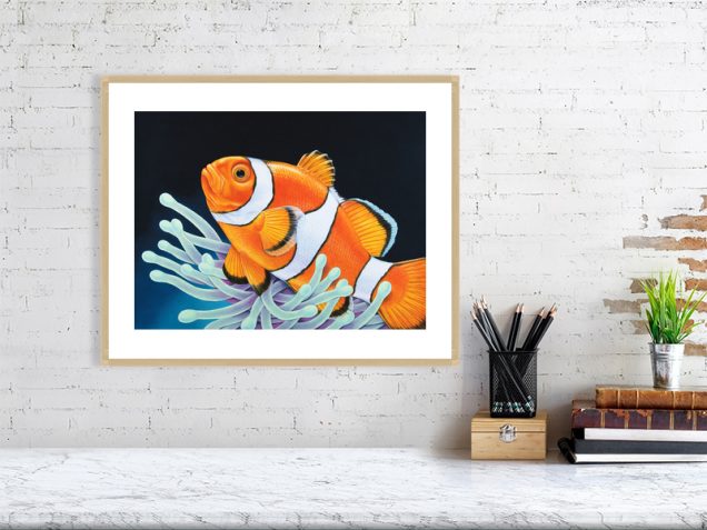 Clownfish print in oak frame