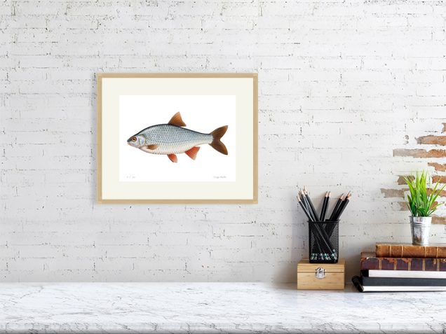 Roach painting in an oak frame