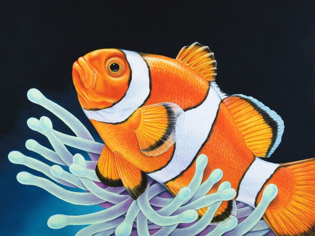 Clownfish painting