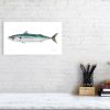 Limited edition of mackerel print