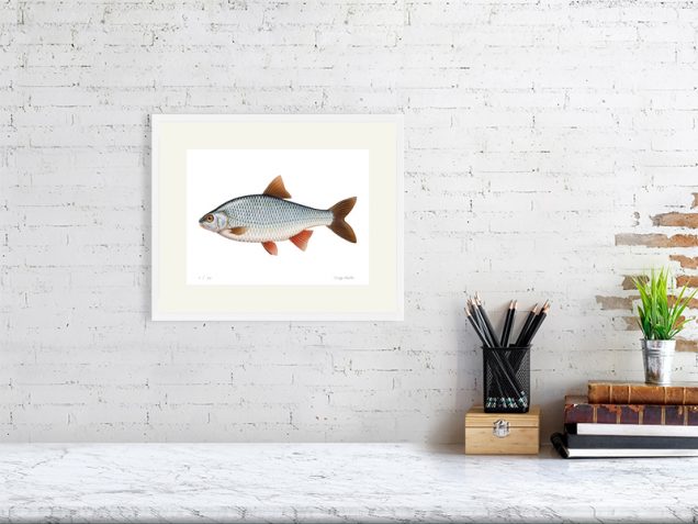 Roach painting in a white frame