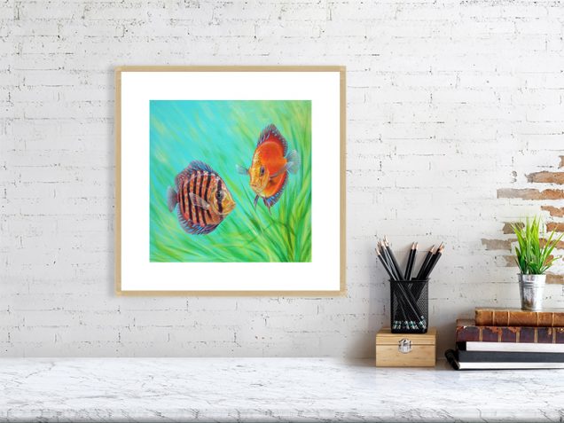 Discus fish print in an oak frame