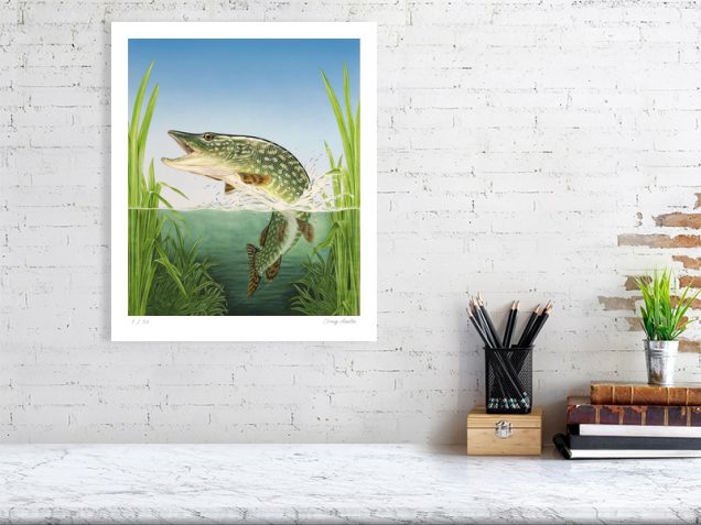 Signed limited edition print of a pike