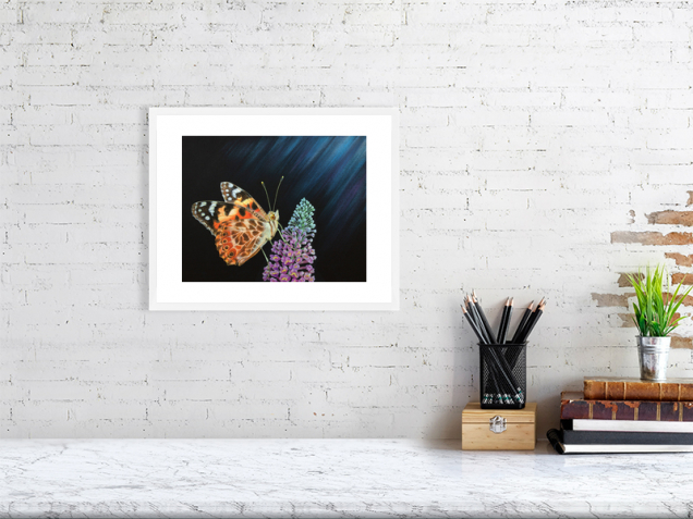 Butterfly print in a white frame